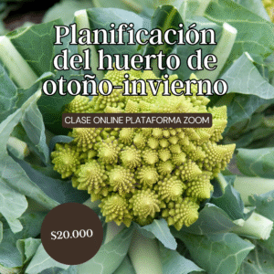 Clase online Planificación del huerto Otoño Invierno