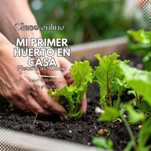 Clase online Mi primer huerto en casa