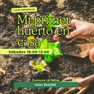Clase presencial "Mi primer huerto en casa"
