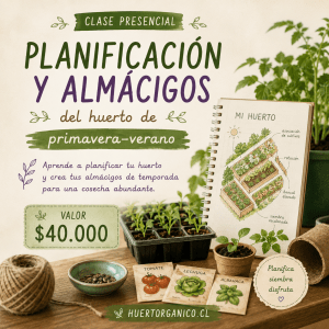 Clase presencial  Planificación y almácigos del huerto de primavera verano