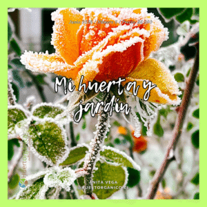 6 Ebook digital "Mi huerta y jardín" Junio