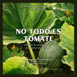 Ebook No todo es tomate
