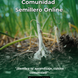 Semillero online (Único pago mensual)