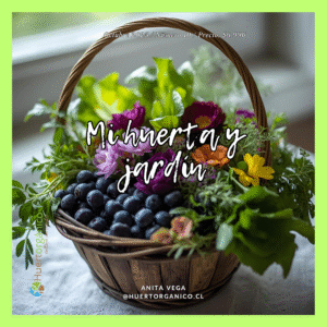 910 Ebook Mi huerta y jardín octubre