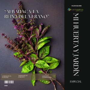Ebook edición especial: "Albahaca La reina del verano"