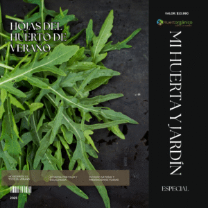 Ebook edición especial "Hojas de verano"