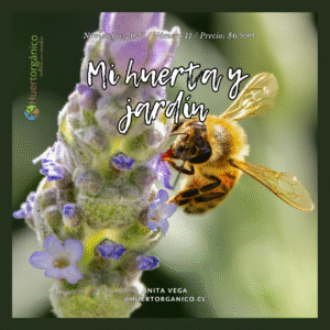 911 Ebook Mi Huerta y jardín Noviembre