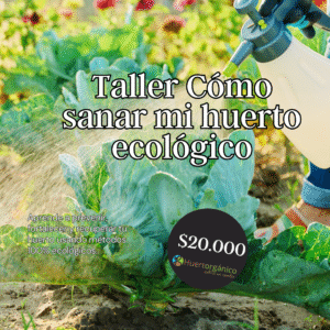 Clase Online: Cómo Sanar mi Huerto Ecológico