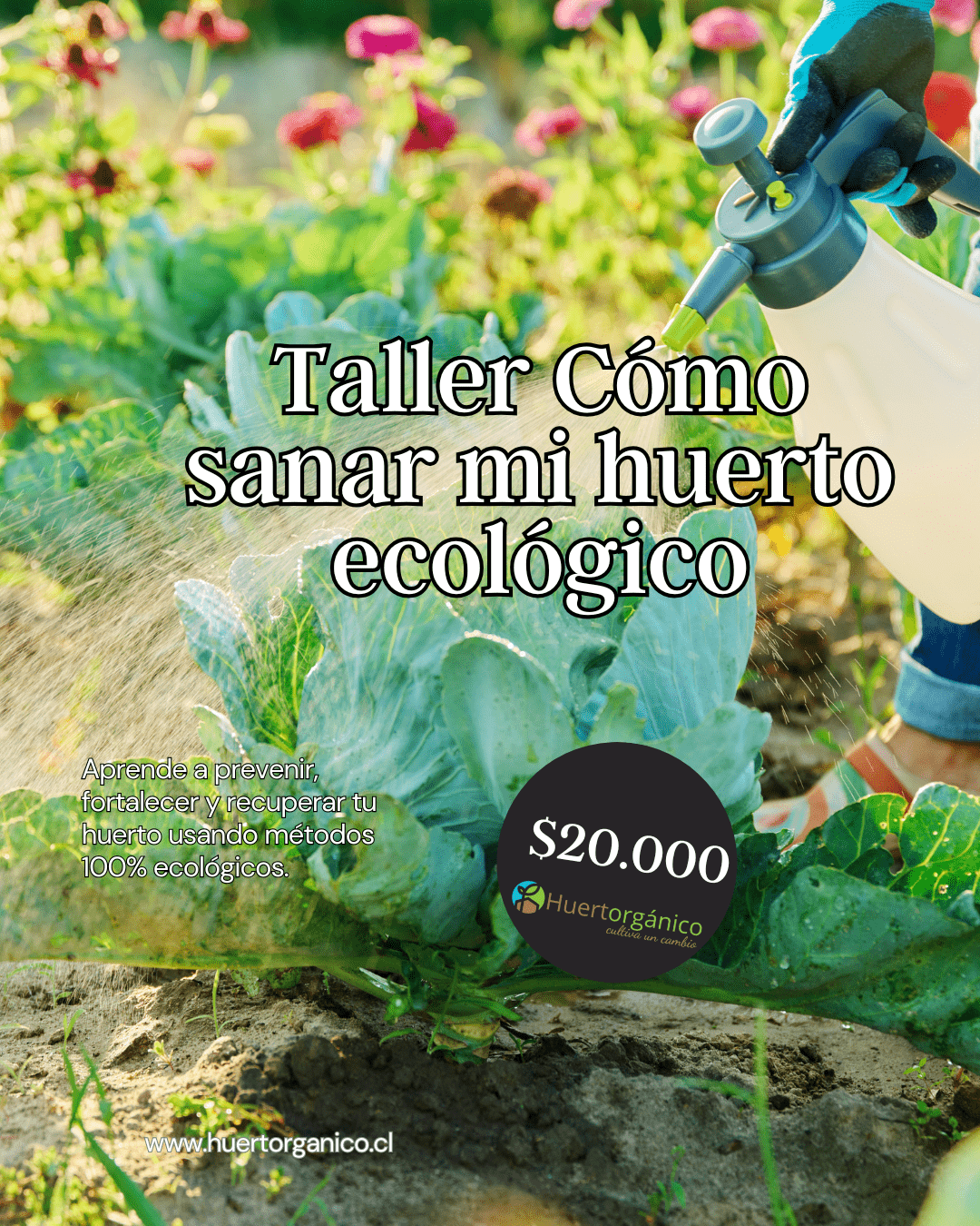 Clase Online: Cómo Sanar mi Huerto Ecológico