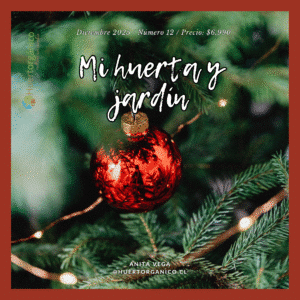 912 Ebook Mi huerta y jardín diciembre