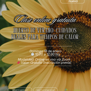 Clase online gratuita Huerto de verano: cuidados reales para tiempos de calor