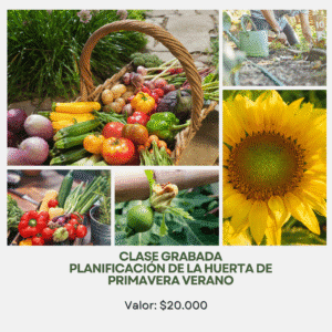 Planificación y mantención del huerto de verano – Clase grabada