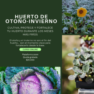 Curso Online: Huerto de Otoño-Invierno